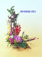 Bài 12. Di truyền liên kết với giới tính