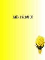 luyen tap phep cong sn