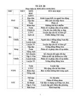 Bài giảng giao an lop 4 tuan 21 CKTKN