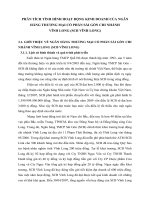 PHÂN TÍCH TÌNH HÌNH HOẠT ĐỘNG KINH DOANH CỦA NGÂN HÀNG THƯƠNG MẠI CỔ PHẦN SÀI GÒN CHI NHÁNH