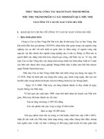 Thực trạng công tác hạch toán thành phẩm, tiêu thụ thành phẩm và xác định kết quả tiêu thụ tại Công ty Cao su Sao Vàng Hà Nội.