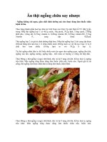 Ăn thịt ngỗng chữa suy nhược