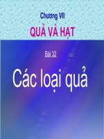 Tài liệu các loại quả