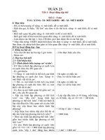 Giáo án Lớp 5 Tuần 23 CKTKN
