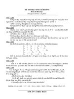 ĐỀ THI HSG HÓA HỌC 9 CÓ ĐÁP ÁN