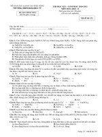 Gián án THI HK I HÓA HỌC 11 - 2010 2011