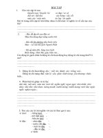 đề học sinh giỏi tiếng Việt