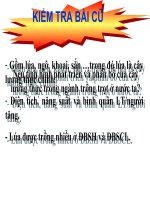 Bài 9: Sự phát triển và phân bố nông nghiệp