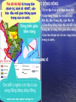 bài 20 địa lý 9