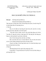 bao cao doi T11-2010