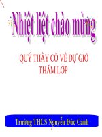 Tiết 17: Tổng ba góc của một tam giác. GV: Bùi Thị Dịu - Trường THCS Nguyễn Đức Cảnh