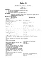 Bài giảng GA 1 tuần 20(CKTKN-BVMT)