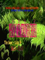 Phần mềm trình chiếu_Tiết_28_29