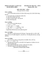 Bài giảng Đề kiểm tra HK 1 năm học 2010-2011