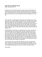 Hoạt tính của chất rủa Clo