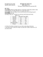 Bài giảng Đề thi - Đáp án Địa lí 11HK1 2010-2011