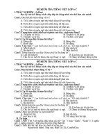 Đề kiểm tra 45 phút Tiếng Việt