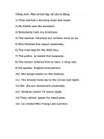 Bài giảng BAITAP DOI SANG BỊ DONG