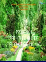 PPDH TIỂU CHỦ ĐỀ THỰC VẬT