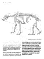 Figure Drawing - Beer and Deer