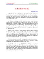 An Thái Bình Thái Đạo