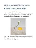 Xây dựng “môi trường sinh thái” cho sản phẩm của một thương hiệu