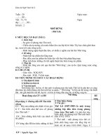 Tài liệu Ngữ  văn 8 KII  2010-2011- CKTKN+KNS