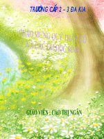 Tài liệu bài 8 tiết 2