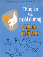 thức ăn và nuôi dưỡng gia cầm