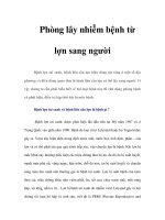 Phòng lây nhiễm bệnh từ lợn sang người