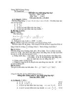 Đề KT Học kì + Hướng dẫn chấm