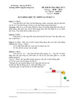 Đề thi HKI - Vật Lý 10  - TPHCM