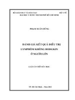 Đánh giá kết quả điều trị lymphôm không hodgkin ở người lớn 