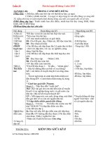 Gián án GA Lớp 5 Tuần 25