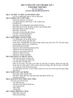 DE CUONG ON THI HK I-TIN 10 (nh10-11)