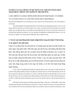 CƠ SỞ LÝ LUẬN CHUNG VỀ KẾ TOÁN LƯU CHUYỂN HÀNG HOÁ  NHẬP KHẨU TRONG NỀN KINH TẾ THỊ TRƯỜNG