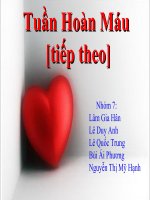 Bài soạn Bài 19:Tuần hoàn máu [tt]