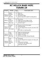 Tài liệu GIAO AN L4 TUAN 19 CKT KN 2010-2011