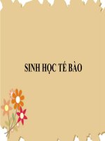 Sinh học tế bào - Màng sinh chất