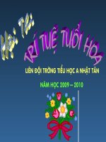 Hội thi trí tuệ tuổi hoa Nhật Tân