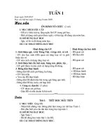 Bài soạn Giáo án Tuần 1 đến tuần 18