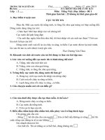 Tài liệu de kiem tra DKCKI mon tieng viet doc tham