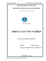 CÁC GIẢI PHÁP NÂNG CAO CHẤT LƯỢNG tín DỤNG DOANH NGHIỆP tại CHI NHÁNH NGÂN HÀNG đầu tới và PHÁT TRIỂN bắc NINH  NGÂN HÀNG đầu tư và PHÁT TRIỂN VIỆT NAM 