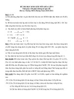 Đề thi HSG HÓA 9 (N/H 2010-2011)