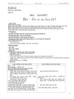 Bài giảng GA lop 1 tuan 22 (ckt- kns)