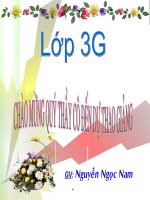 Thân cây (tiết 1)