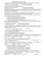 kiểm tra kỳ 1 k11NC theo chuẩn