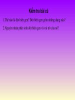 tiet 23 - sinh học 9