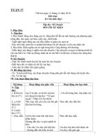 Tuan 17+ 18 (l0p 3)- chi tiet