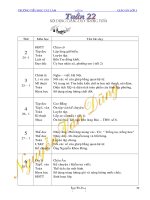 Bài giảng GA LỚP 5 TUẦN 22/BVMT/CKTKN/KNS